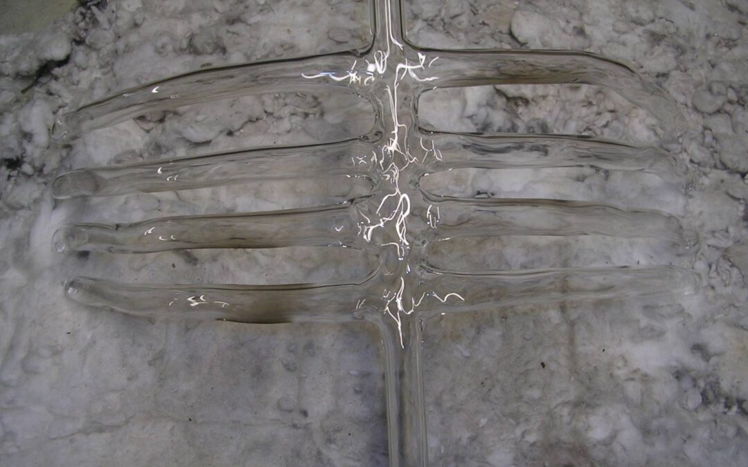 EMBRACING THE WRONG WAY?